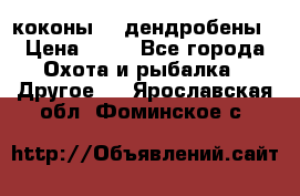 коконы    дендробены › Цена ­ 25 - Все города Охота и рыбалка » Другое   . Ярославская обл.,Фоминское с.